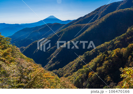 （山梨県）池の茶屋林道から望む、富士山　秋 106470166