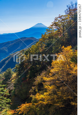 （山梨県）池の茶屋林道から望む、富士山　秋 106470167