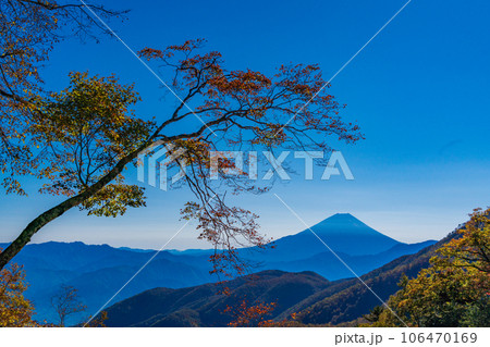 （山梨県）池の茶屋林道から望む、富士山　秋 106470169
