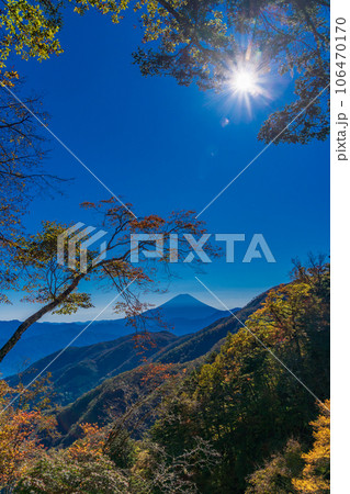 （山梨県）池の茶屋林道から望む、富士山　秋 106470170