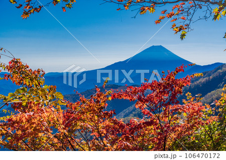 （山梨県）池の茶屋林道から望む、富士山　秋 106470172