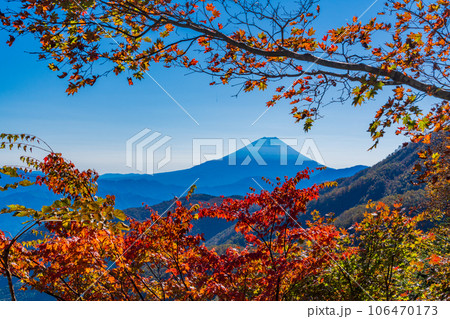 (山梨県)池の茶屋林道から望む、富士山 秋 (山梨県)池の茶屋林道から望む、富士山 秋 106470173