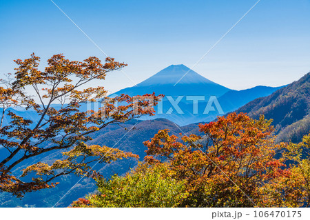 （山梨県）池の茶屋林道から望む、富士山　秋 106470175