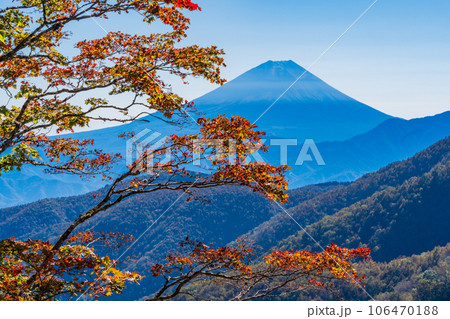 （山梨県）池の茶屋林道から望む、富士山　秋 106470188