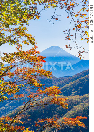 （山梨県）池の茶屋林道から望む、富士山　秋 106470191