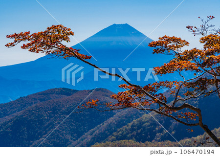 （山梨県）池の茶屋林道から望む、富士山　秋 106470194