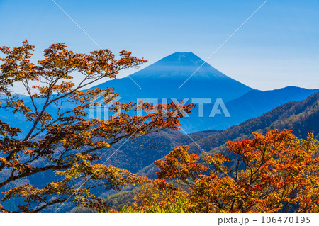（山梨県）池の茶屋林道から望む、富士山　秋 106470195