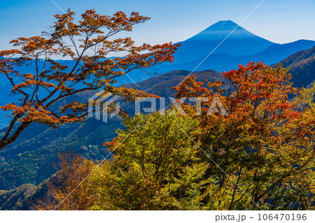 （山梨県）池の茶屋林道から望む、富士山　秋 106470196