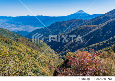 （山梨県）池の茶屋林道から望む、富士山　秋 106470198