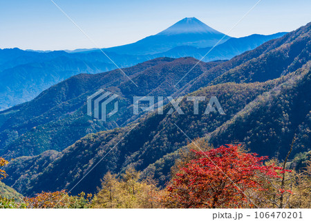 （山梨県）池の茶屋林道から望む、富士山　秋 106470201