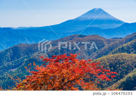 (山梨県)池の茶屋林道から望む、富士山 秋 (山梨県)池の茶屋林道から望む、富士山 秋 106470203