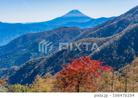 (山梨県)池の茶屋林道から望む、富士山 秋 (山梨県)池の茶屋林道から望む、富士山 秋 106470204