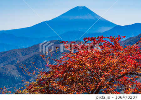 (山梨県)池の茶屋林道から望む、富士山 秋 (山梨県)池の茶屋林道から望む、富士山 秋 106470207