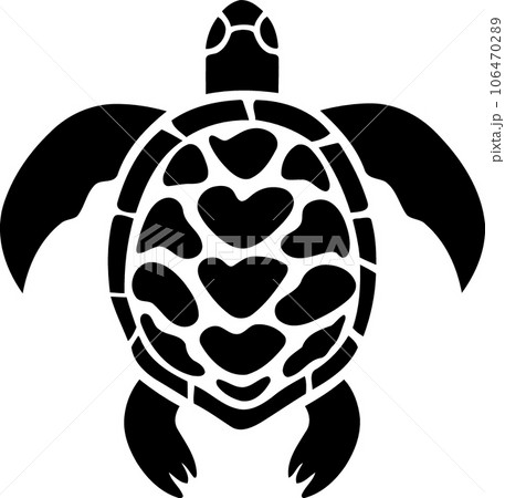 animal reptile turtle black and white animal reptile turtle black and white 106470289