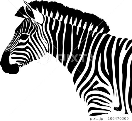 animal mammal wild equine zebra 106470309
