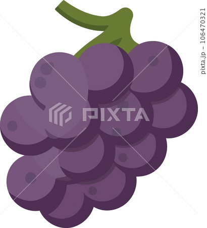 fruits bunch of purple grapes fruits bunch of purple grapes 106470321