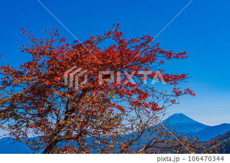 （山梨県）池の茶屋林道から望む、富士山　秋 106470344