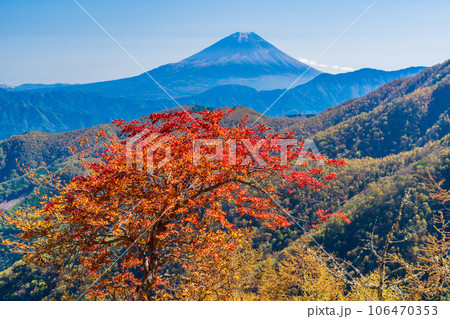 （山梨県）池の茶屋林道から望む、富士山　秋 106470353