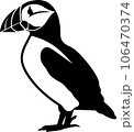 puffin wild animal isolated 106470374
