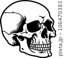 bones skull black and white 106470383