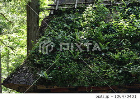 茅葺きの屋根にたくさんの植物を生やした、戸隠奥社、随神門 106470401