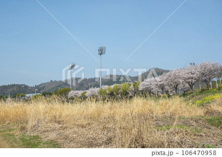 Yeongsan River bicycle path. Yeongsan River bicycle path. 106470958