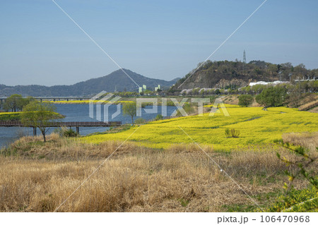 Yeongsan River bicycle path. 106470968