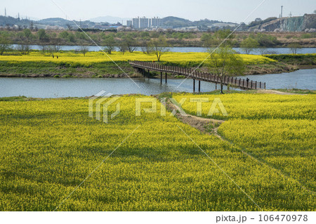 Yeongsan River bicycle path. Yeongsan River bicycle path. 106470978