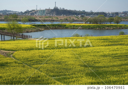Yeongsan River bicycle path. 106470981