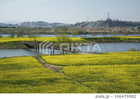 Yeongsan River bicycle path. 106470982