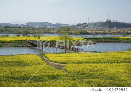 Yeongsan River bicycle path. 106470983