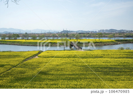Yeongsan River bicycle path. 106470985