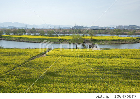 Yeongsan River bicycle path. Yeongsan River bicycle path. 106470987