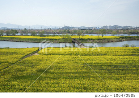 Yeongsan River bicycle path. Yeongsan River bicycle path. 106470988