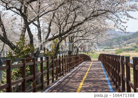 Yeongsan River bicycle path 106471388