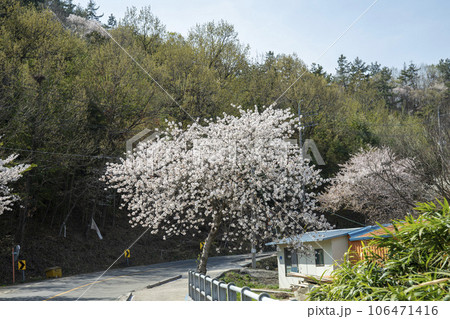 Yeongsan River bicycle path Yeongsan River bicycle path 106471416