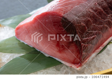 本鮪のブロック 106471494