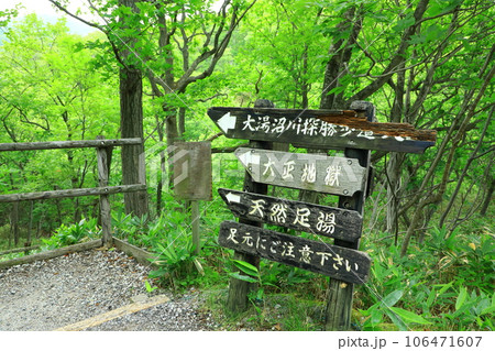新緑の大湯沼川探勝歩道 新緑の大湯沼川探勝歩道 106471607