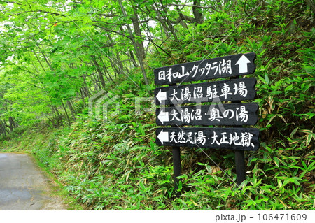 新緑の大湯沼川探勝歩道 106471609