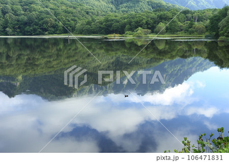 戸隠高原、戸隠連峰と鏡池、湖面に映った戸隠連峰 戸隠高原、戸隠連峰と鏡池、湖面に映った戸隠連峰 106471831