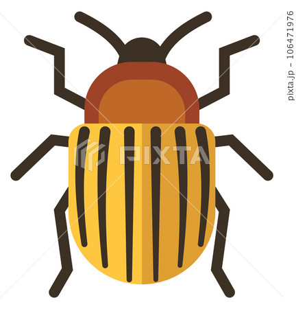 Colorado potato beetle icon. Striped yellow pest 106471976