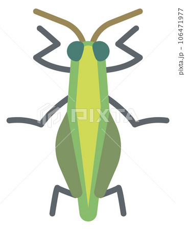 Grasshopper flat icon. Green insect. Wild fauna Grasshopper flat icon. Green insect. Wild fauna 106471977