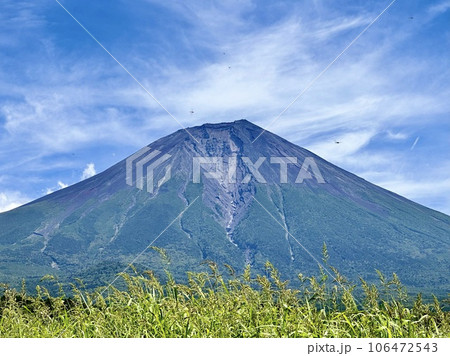 草越しに見る夏の富士山 106472543