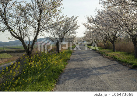 Yeongsan River bicycle path Yeongsan River bicycle path 106473669