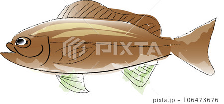 イサキのイラスト イサキのイラスト 106473676