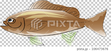 イサキのイラスト イサキのイラスト 106473676