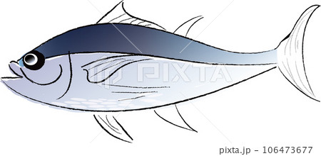 カツオのイラスト 106473677