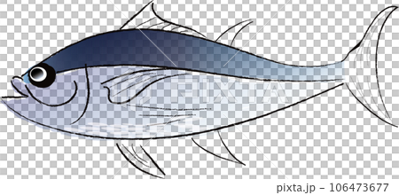 カツオのイラスト 106473677