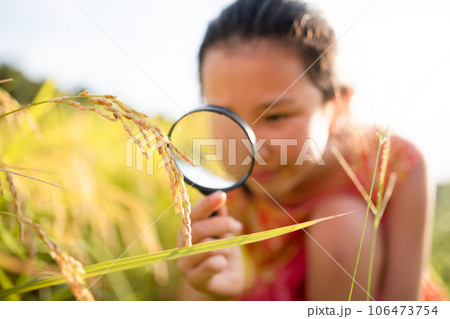 稲を虫眼鏡で観察する子供 106473754