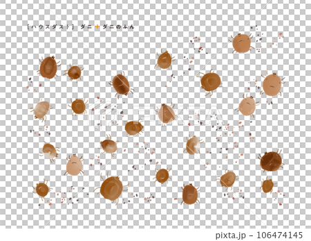 Watercolor style illustration of ticks and droppings with a gentle touch Causes of house dust 106474145